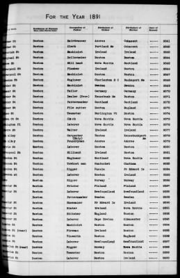 Thumbnail for Boston Births, 1882-1895 > Boston Births, 1891