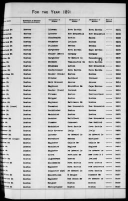 Thumbnail for Boston Births, 1882-1895 > Boston Births, 1891