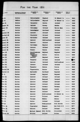 Thumbnail for Boston Births, 1882-1895 > Boston Births, 1891