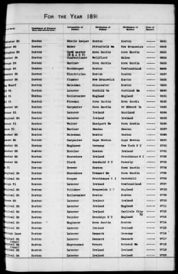 Thumbnail for Boston Births, 1882-1895 > Boston Births, 1891