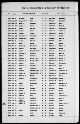 Thumbnail for Boston Births, 1882-1895 > Boston Births, 1891