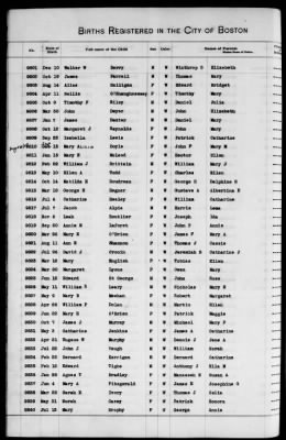 Thumbnail for Boston Births, 1882-1895 > Boston Births, 1891