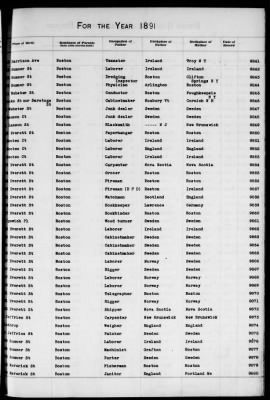 Thumbnail for Boston Births, 1882-1895 > Boston Births, 1891