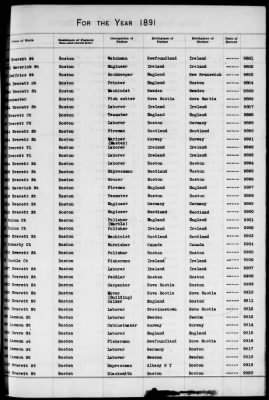 Thumbnail for Boston Births, 1882-1895 > Boston Births, 1891