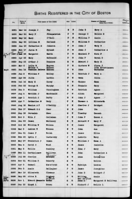 Thumbnail for Boston Births, 1882-1895 > Boston Births, 1891