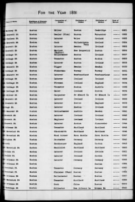 Thumbnail for Boston Births, 1882-1895 > Boston Births, 1891