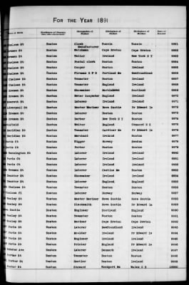 Thumbnail for Boston Births, 1882-1895 > Boston Births, 1891