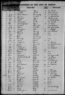 Thumbnail for Boston Births, 1849-1881 > Boston Births, 1867