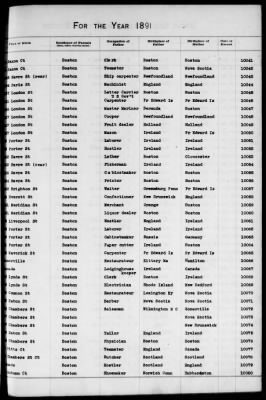 Thumbnail for Boston Births, 1882-1895 > Boston Births, 1891