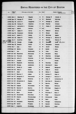 Thumbnail for Boston Births, 1882-1895 > Boston Births, 1891