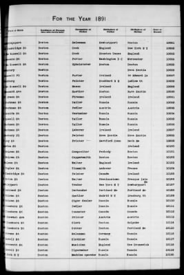 Thumbnail for Boston Births, 1882-1895 > Boston Births, 1891