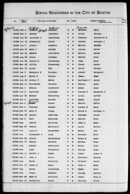 Thumbnail for Boston Births, 1882-1895 > Boston Births, 1891