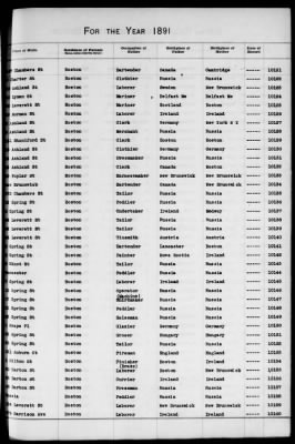 Thumbnail for Boston Births, 1882-1895 > Boston Births, 1891