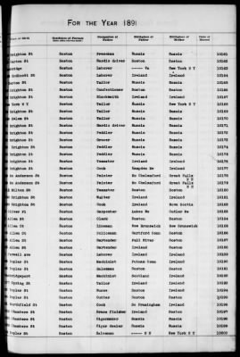 Thumbnail for Boston Births, 1882-1895 > Boston Births, 1891