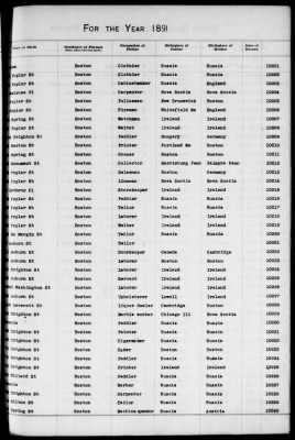 Thumbnail for Boston Births, 1882-1895 > Boston Births, 1891