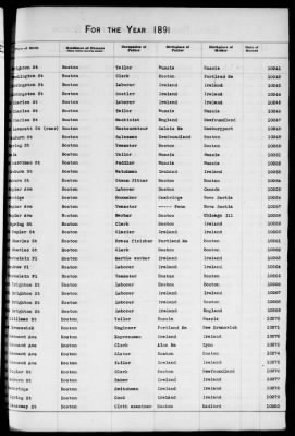 Thumbnail for Boston Births, 1882-1895 > Boston Births, 1891