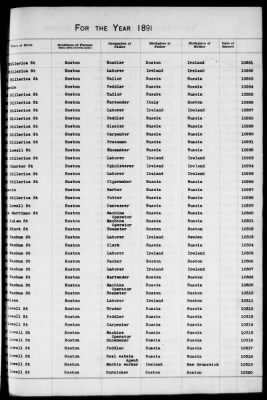 Thumbnail for Boston Births, 1882-1895 > Boston Births, 1891