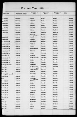 Thumbnail for Boston Births, 1882-1895 > Boston Births, 1891