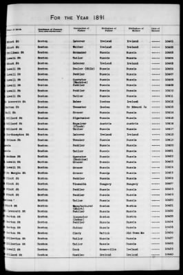 Thumbnail for Boston Births, 1882-1895 > Boston Births, 1891