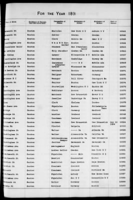 Thumbnail for Boston Births, 1882-1895 > Boston Births, 1891