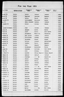 Thumbnail for Boston Births, 1882-1895 > Boston Births, 1891