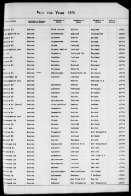 Thumbnail for Boston Births, 1882-1895 > Boston Births, 1891