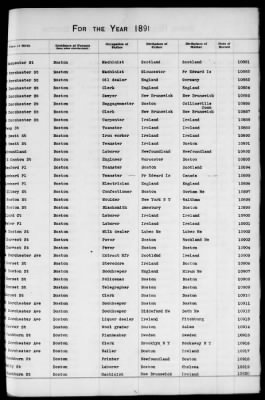 Thumbnail for Boston Births, 1882-1895 > Boston Births, 1891