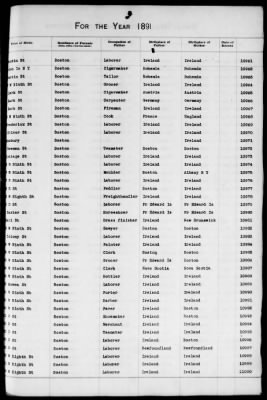 Thumbnail for Boston Births, 1882-1895 > Boston Births, 1891