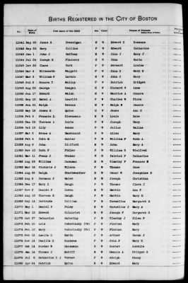 Thumbnail for Boston Births, 1882-1895 > Boston Births, 1891