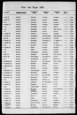 Thumbnail for Boston Births, 1882-1895 > Boston Births, 1891