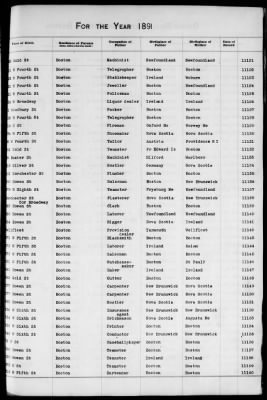 Thumbnail for Boston Births, 1882-1895 > Boston Births, 1891