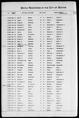 Thumbnail for Boston Births, 1882-1895 > Boston Births, 1891