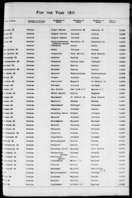 Thumbnail for Boston Births, 1882-1895 > Boston Births, 1891