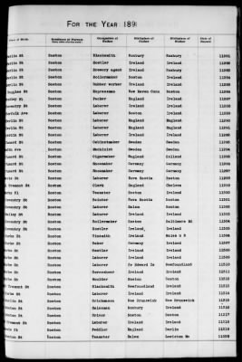 Thumbnail for Boston Births, 1882-1895 > Boston Births, 1891