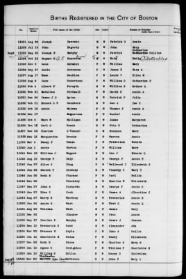 Thumbnail for Boston Births, 1882-1895 > Boston Births, 1891