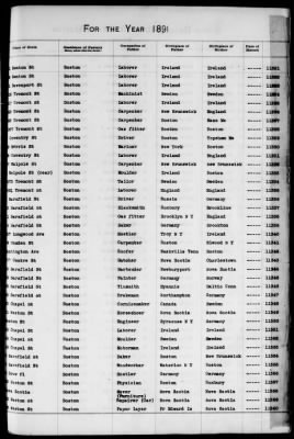 Thumbnail for Boston Births, 1882-1895 > Boston Births, 1891