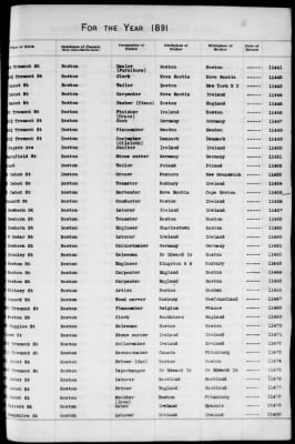 Thumbnail for Boston Births, 1882-1895 > Boston Births, 1891