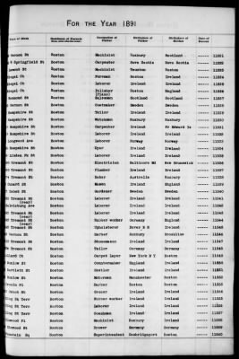 Thumbnail for Boston Births, 1882-1895 > Boston Births, 1891