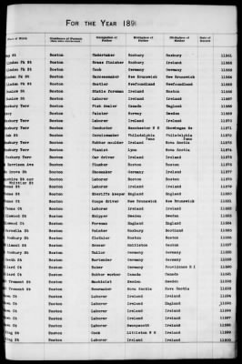 Thumbnail for Boston Births, 1882-1895 > Boston Births, 1891