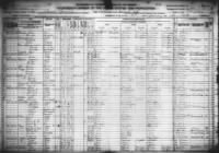 1920 US Census - Warner