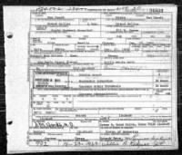 Thumbnail for Alva Berlin Chaney death certificate