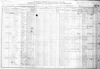 1910 US Census