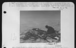 Thumbnail for Sergeant Joseph D. Healey Re-Lashing Dog Sled At Motor Sled Camp On Ice Cap. - Page 1