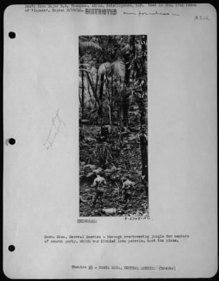 Thumbnail for General > Costa Rica, Central America - through overtowering jungle two members of search party, which was divided into patrols, hunt the plane.