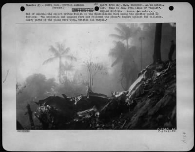 Thumbnail for General > End of search - the report writes finish on the Consolidated B-24 among the ghostly palms as follows: "An explosion and intense fire had followed the plane's impact against the hillside. Heavy parts of the plane were torn, twisted and warped."