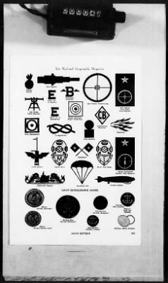 1 - Subject File > 176 - Insignia