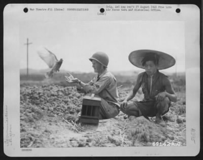 Thumbnail for General > A Homing Pigeon Returns To A Sergeant In The Signal Corps.  The Pigeons Proved Themselves Invaluable And In Several Cases Have Actually Saved Lives Of Bomber Crews Forced Down On The Way To Home Base.  China, 21 November 1944.