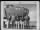 Thumbnail for Crew Of The 11Th Bomb Squadron, 341St Bomb Group, Poses Beside Their North American B-25 "Tokyo Jo" At An Airfield Somewhere In China, 2 February 1943.  They Are: Capt. E.W. Holstrom, Tacoma, Washington, Pilot And Squadron Commander Lt. L.J. Murphy, Silve - Page 3