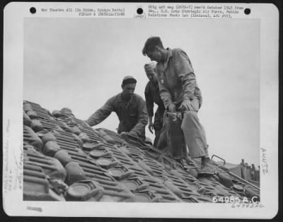 Thumbnail for Supplies > Even Water Is Shipped In During Initial Phase Of An Operation In The Pacific.  Here, Men Of The 318Th Fighter Group Unload 5-Gallon Cans Of Water From A Truck Which Brought It To The Area From The Boat.  They Are, Left To Right: S/Sgt. Harrison Gilmore Of