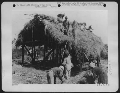 Thumbnail for General > This Will Soon Be Home For A Native Family - Military Government Furnishes The Frames For Native Huts, But The Okinawans Do The Rest.  Here A Group Is Busy Putting On The Thatched Roof.  Okinawa, Ryukyu Retto.